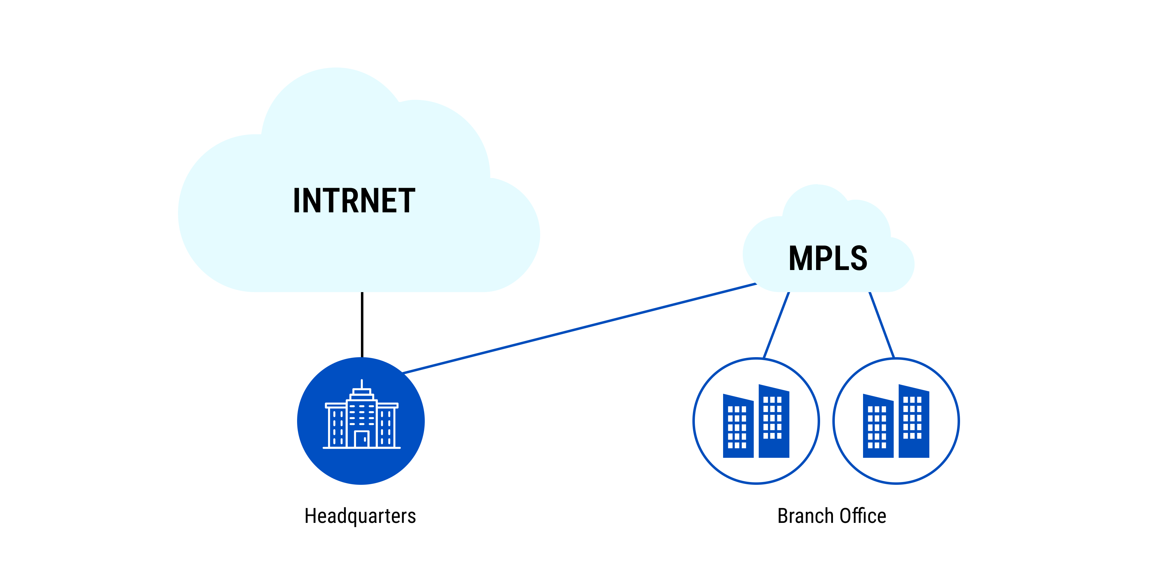 What Makes MPLS Networks Unique